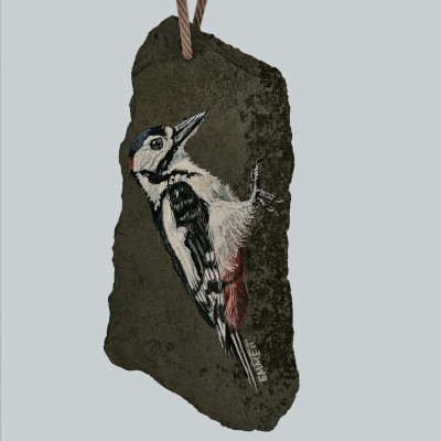 Woodpecker