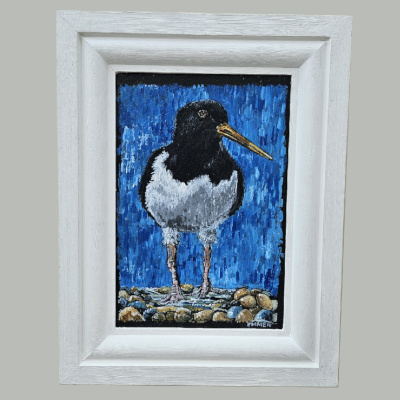 Oyster Catcher Framed